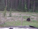 120 - Banff,Lake Louise,Morraine Lake  - IMGA0090